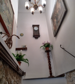 Noto Relax